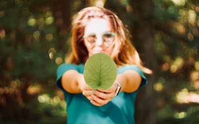 Environmental Advocacy in Europe and the Next Generation of Leaders: the power of mobilising youth for environmental protection