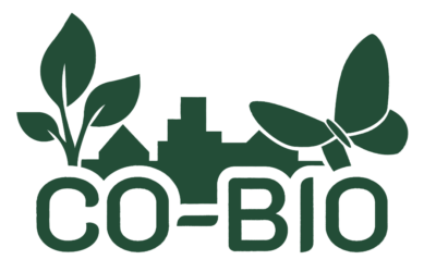 CO-BIO Newsletter #6 – Descubra as últimas novidades do projeto!